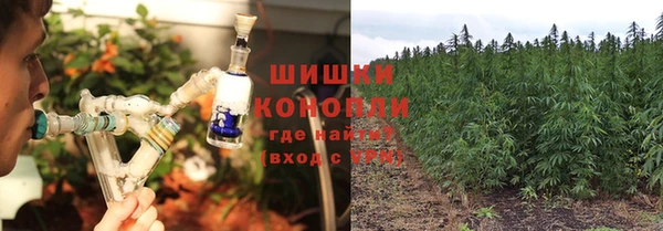 ПСИЛОЦИБИНОВЫЕ ГРИБЫ Зерноград