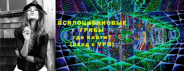 тгк Зеленодольск